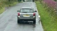 Police Scotland have confirmed that they are investigating after footage emerged of a terrified dog being forced to run alongside it’s owner’s car near Lochgelly. The footage was captured by […]